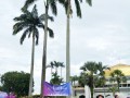 Tn dsc 7383